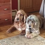 John Sutor - @sutor341 - Instagram