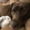 Johnnie Sutor - @johnnie.sutor - TikTok