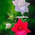 Sudheer John - Facebook
