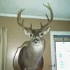 John Swader - @john.swader - TikTok