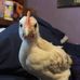 John Sweatman - Facebook