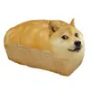 John Sweeney - @hotdogs1769 - TikTok