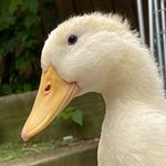 John Sweetman - @john79sweet - Instagram