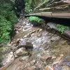 johnsweetman740 - @johnsweetman740 - TikTok