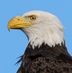 John Sweitzer - Facebook