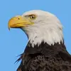johnsweitzer965 - @johnsweitzer965 - TikTok