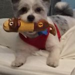John Akhtar - @johnswing46 - Instagram