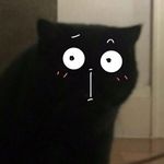 John swing - @swing_john - Instagram