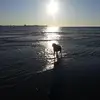 j - @johnswirsding - TikTok