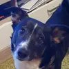 noah - @johnwysniewski - TikTok