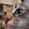 johnszeto265 - @johnszeto265 - TikTok