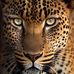 John Tabares - Facebook