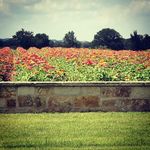 john tabb - @tabb_john - Instagram