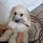 John tadros - @tadros_john_ - Instagram