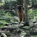 John Takach - Facebook