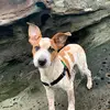 John Tolsma - @john.tolsma - TikTok