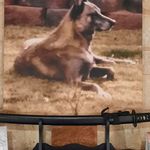 John Tanabe - @tanabejohn - Instagram