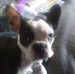 John Tanner - Facebook