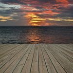 John Tardy - @tardyjohn - Instagram