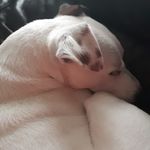 John Tarter - @john.tarter.96 - Instagram