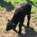 John Tarvin - Facebook