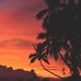 John Taube - Facebook