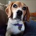 Jon Tayman - Facebook
