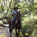 John Teal - Facebook