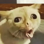 John Teeter - @john.teeter.1654 - Instagram