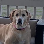 John TenEyck - @teneycksr - Instagram