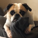 John Teng - @j0hnt3ng - Instagram