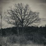 John Terhune - @johntphotos03 - Instagram