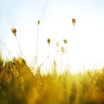 John Teston - @testonjohn - Instagram