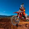 Luke Teston - @johnteston_21 - TikTok