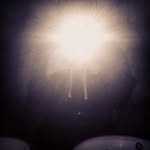 John Thanegar - @johnthanegar - Instagram