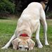 John Theaker - Facebook