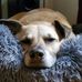 John Theaker - Facebook