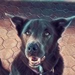 John theiss - @johnt12345 - Instagram