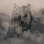 John Camps - @_johnthewolf - Instagram