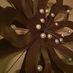 John Thibodeaux - @john.thibodeaux.967 - Instagram