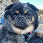 John Thirkell - @john_thirkell_8t3 - Instagram