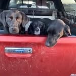 John Thirkell - @thirkell.john - Instagram