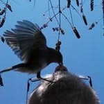 John William Thirkell - @john.thirkell - Instagram