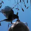John William Thirkell - @john.william.thir - TikTok