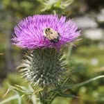 John Thistle - @jrt_jr142 - Instagram