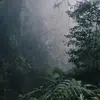 john.thomas684 - @john.thomas684 - TikTok