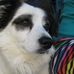 John Thorman - Facebook