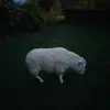 johncathrall - @johncathrall - TikTok