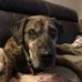 John Thulin - Facebook