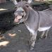 John Thulin - Facebook